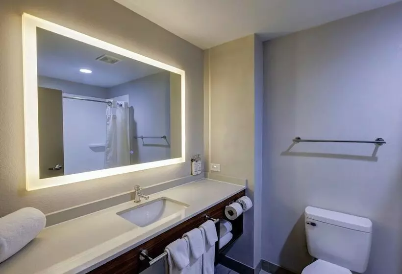 スタンダードルーム, Holiday Inn Express Hotel & Suites Shelbyville, An Ihg