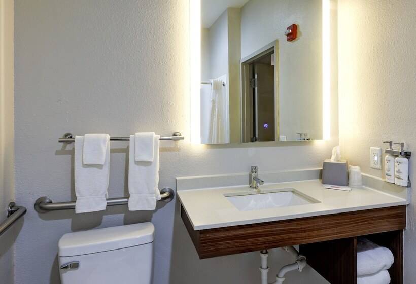 标准间, Holiday Inn Express Hotel & Suites Shelbyville, An Ihg