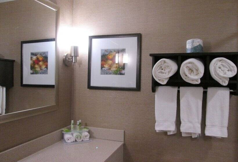 غرفة قياسية, Holiday Inn Express Cloverdale   Greencastle, An Ihg