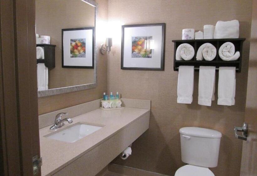 キングサイズベッドのスタンダードルーム, Holiday Inn Express Cloverdale   Greencastle, An Ihg