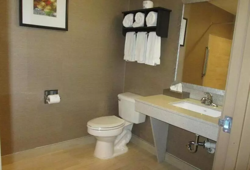身障者適用キングサイズベッドルーム, Holiday Inn Express Cloverdale   Greencastle, An Ihg