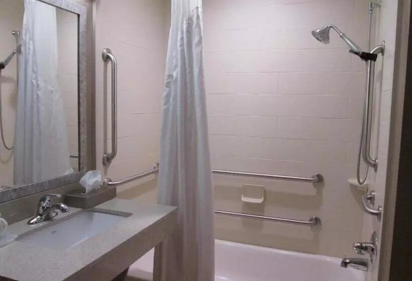 身障者適用キングサイズベッドルーム, Holiday Inn Express Cloverdale   Greencastle, An Ihg