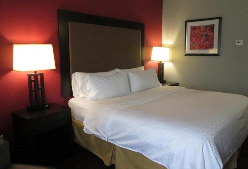 身障者適用キングサイズベッドルーム, Holiday Inn Express Cloverdale   Greencastle, An Ihg