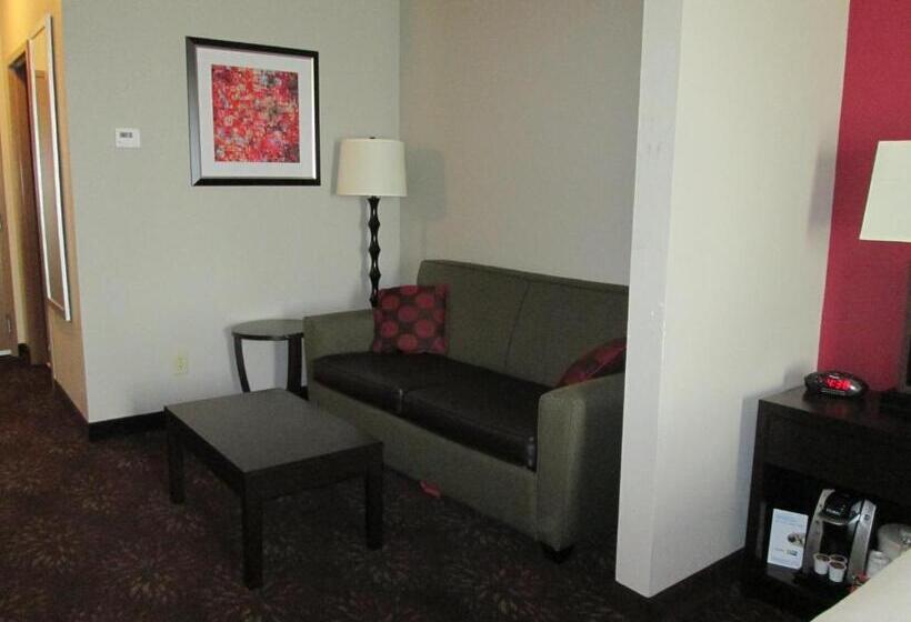 جناح سرير كينج, Holiday Inn Express Cloverdale   Greencastle, An Ihg