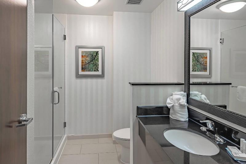 身障者適用スタンダードルーム, Holiday Inn Express Cloverdale   Greencastle, An Ihg