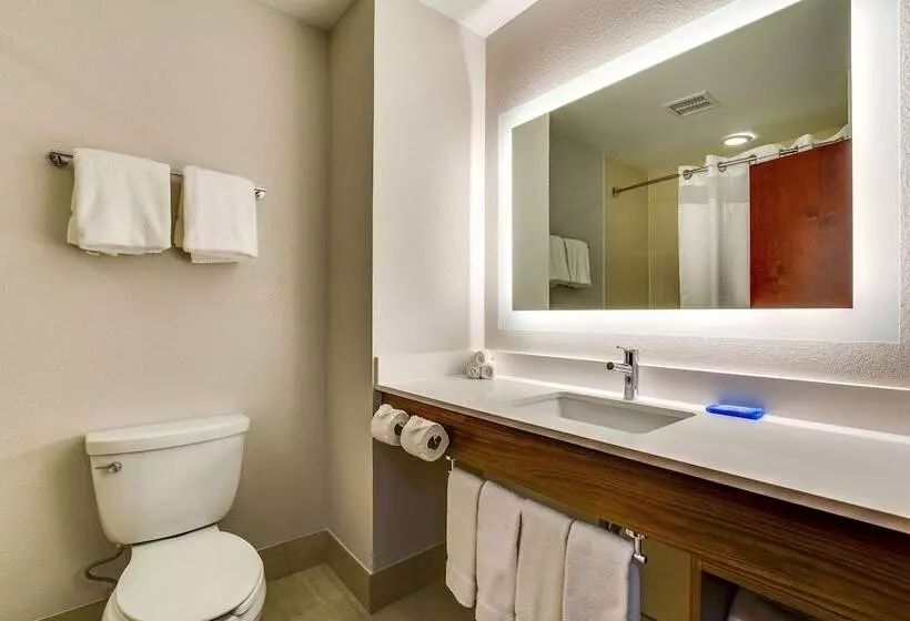 スイート, Holiday Inn Express Vincennes By Ihg