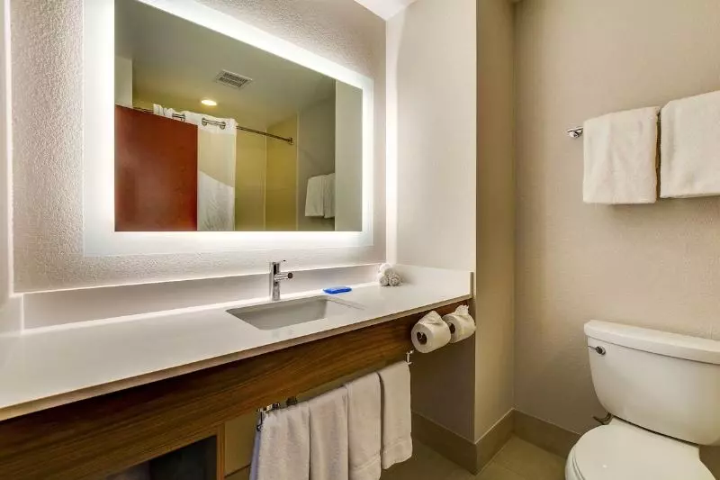 キングサイズベッドのスイートルーム, Holiday Inn Express Vincennes By Ihg