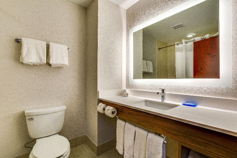 غرفة قياسية, Holiday Inn Express Vincennes By Ihg