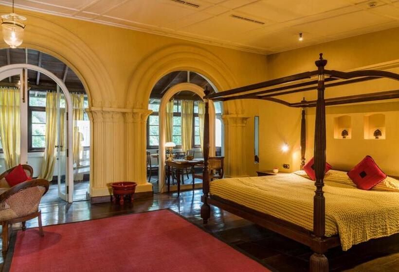 Люкс, Old Harbour