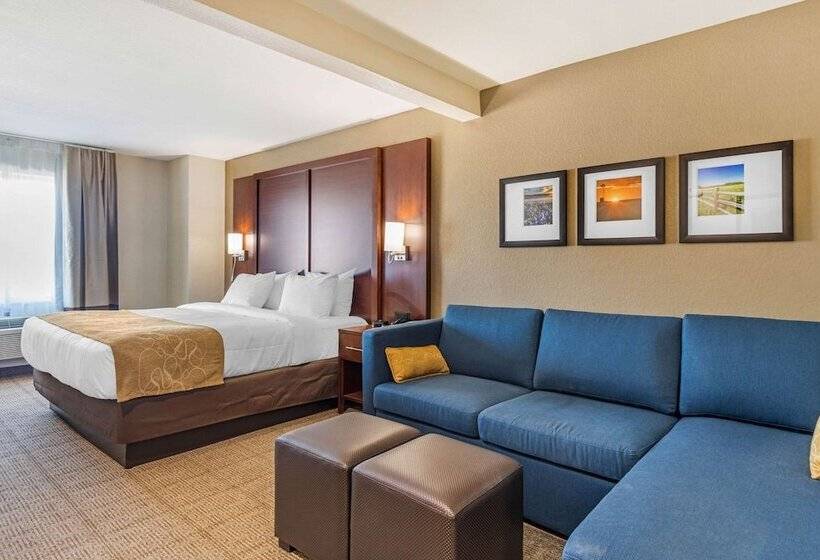 身障者適用スイートルーム, Comfort Inn & Suites