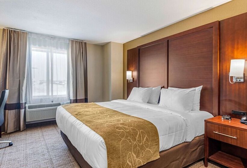 适合残疾人士使用的套间, Comfort Inn & Suites
