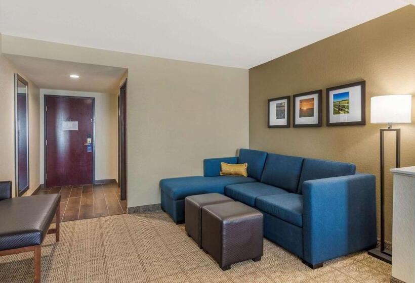 身障者適用スイートルーム, Comfort Inn & Suites