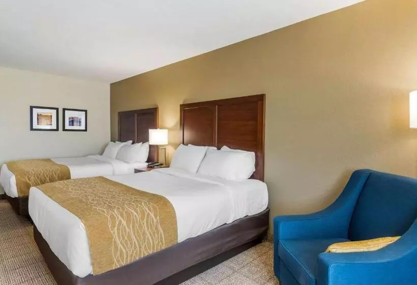 Standard-huone, Comfort Inn & Suites