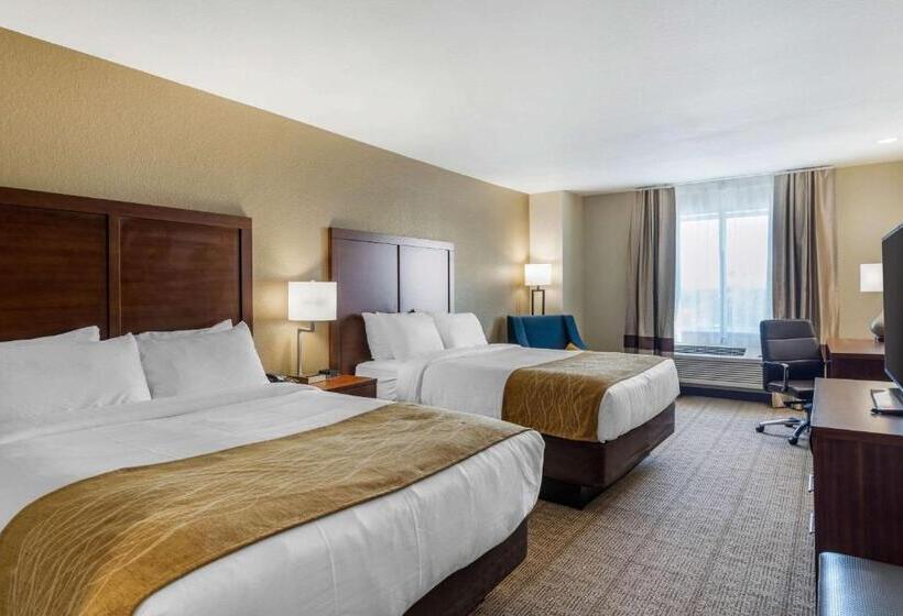 スタンダードルーム, Comfort Inn & Suites