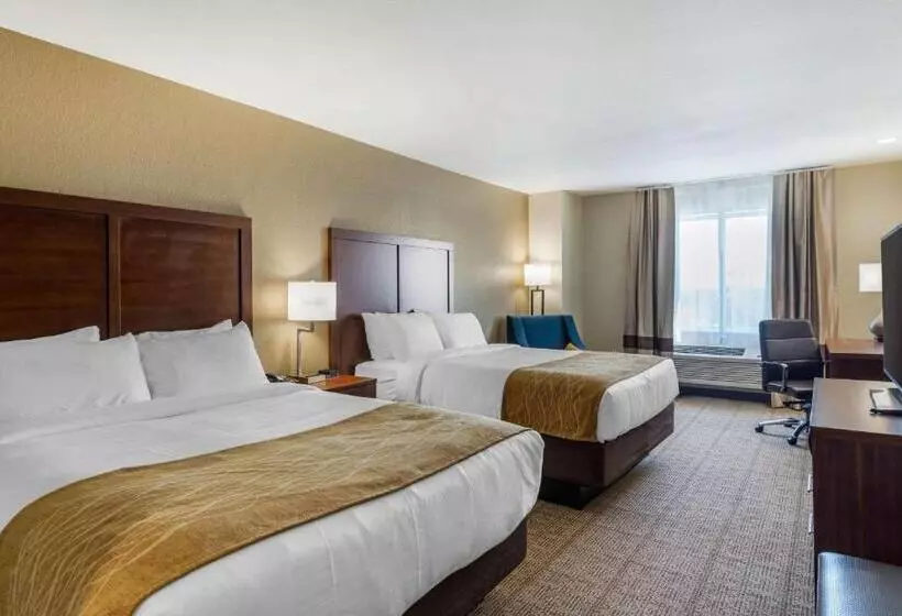 Standard-huone, Comfort Inn & Suites