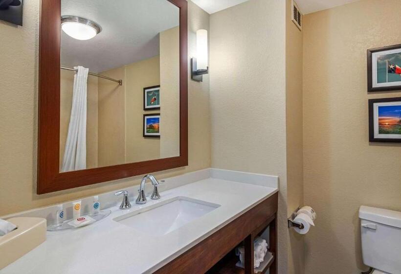 标准间, Comfort Inn & Suites