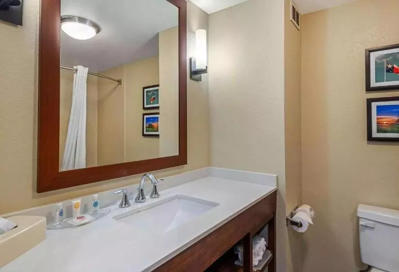 Standard-huone, Comfort Inn & Suites
