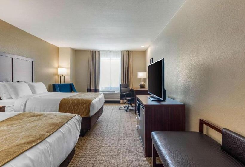 スタンダードルーム, Comfort Inn & Suites