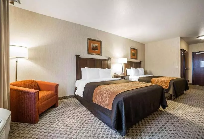 スタンダードルーム, Comfort Inn & Suites Henderson Las Vegas