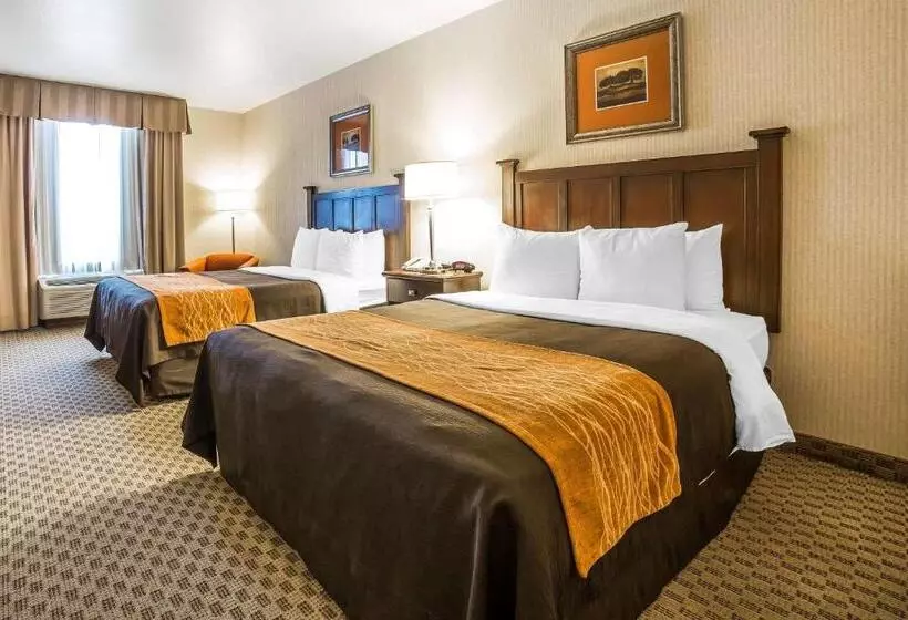 スタンダードルーム, Comfort Inn & Suites Henderson Las Vegas