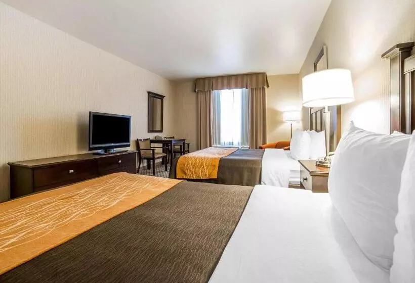 スタンダードルーム, Comfort Inn & Suites Henderson Las Vegas
