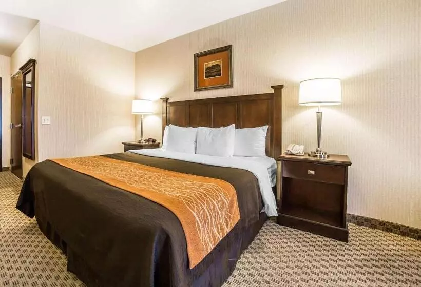 キングサイズベッドのスタンダードルーム, Comfort Inn & Suites Henderson Las Vegas