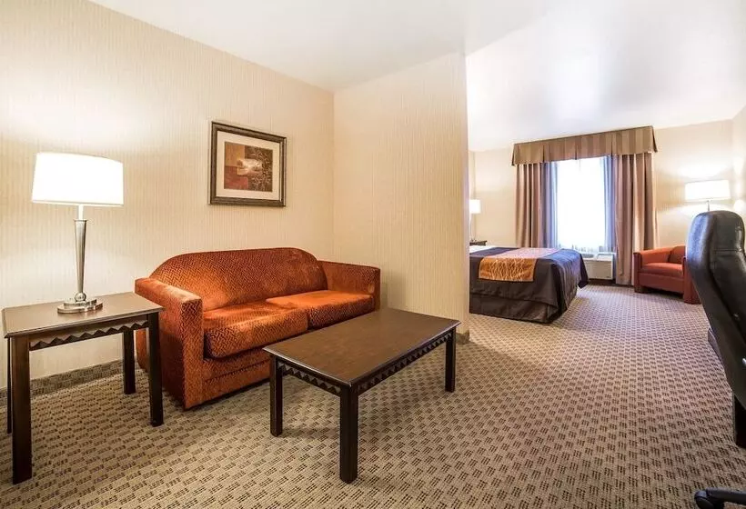 スイート, Comfort Inn & Suites Henderson Las Vegas