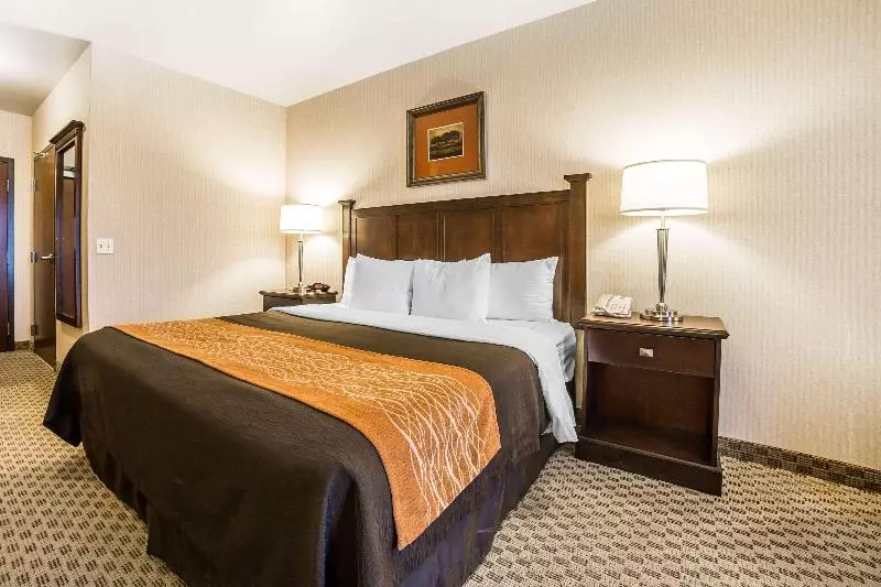 キングサイズベッドのスタンダードルーム, Comfort Inn & Suites Henderson Las Vegas