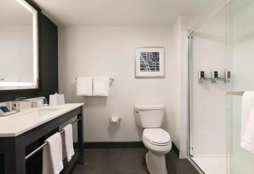 キングサイズベッドのクラシックルーム, Four Points By Sheraton Raleigh Arena