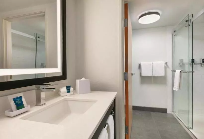 キングサイズベッドのスイートルーム, Four Points By Sheraton Raleigh Arena