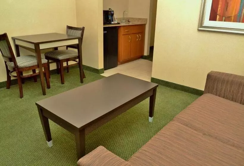 キングサイズベッドのエクゼクティブルーム, Holiday Inn Express Hotel & Suites Center Township, An Ihg