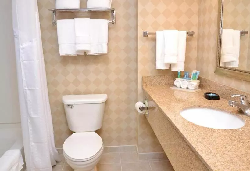 キングサイズベッドのエクゼクティブルーム, Holiday Inn Express Hotel & Suites Center Township, An Ihg