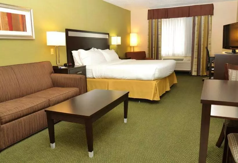 キングサイズベッドのエクゼクティブルーム, Holiday Inn Express Hotel & Suites Center Township, An Ihg