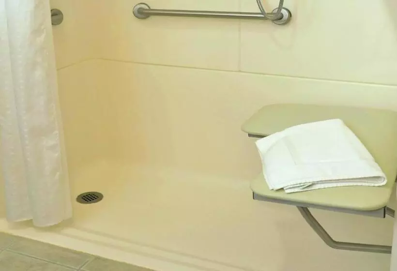 キングサイズベッドのエクゼクティブルーム, Holiday Inn Express Hotel & Suites Center Township, An Ihg