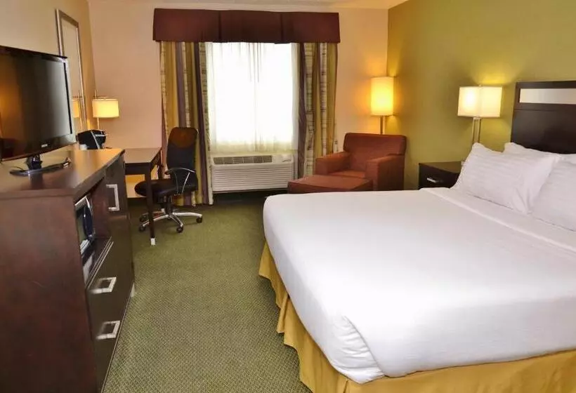 キングサイズベッドのスタンダードルーム, Holiday Inn Express Hotel & Suites Center Township, An Ihg