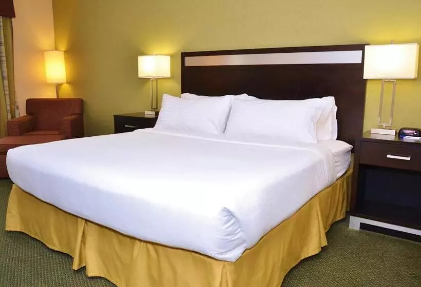 キングサイズベッドのスタンダードルーム, Holiday Inn Express Hotel & Suites Center Township, An Ihg