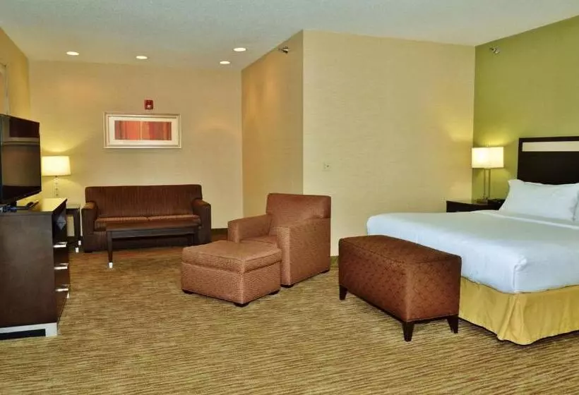 キングサイズベッドのスイートルーム, Holiday Inn Express Hotel & Suites Center Township, An Ihg