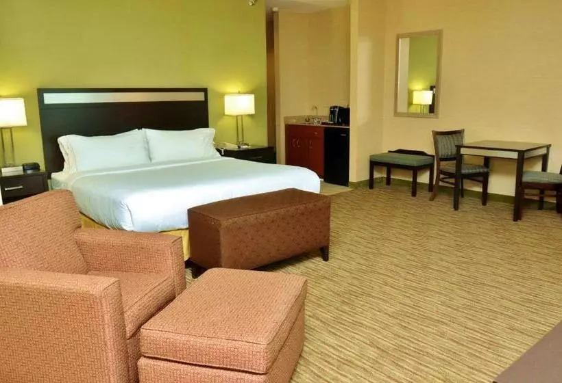 キングサイズベッドのスイートルーム, Holiday Inn Express Hotel & Suites Center Township, An Ihg