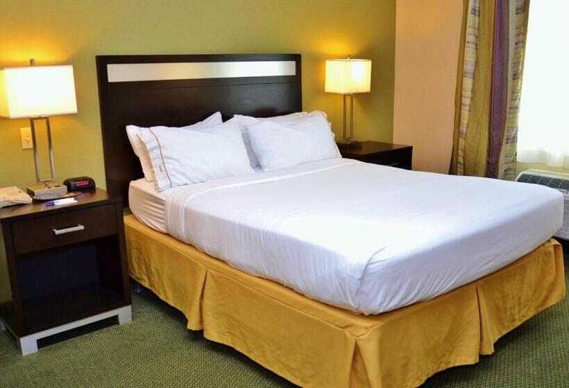 غرفة قياسية لذوى الاحتياجات الخاصة, Holiday Inn Express Hotel & Suites Center Township, An Ihg