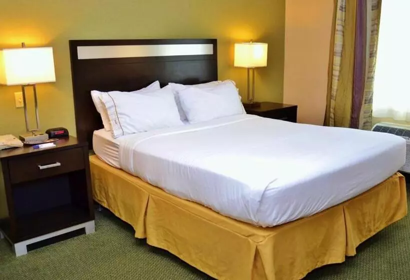 身障者適用スタンダードルーム, Holiday Inn Express Hotel & Suites Center Township, An Ihg