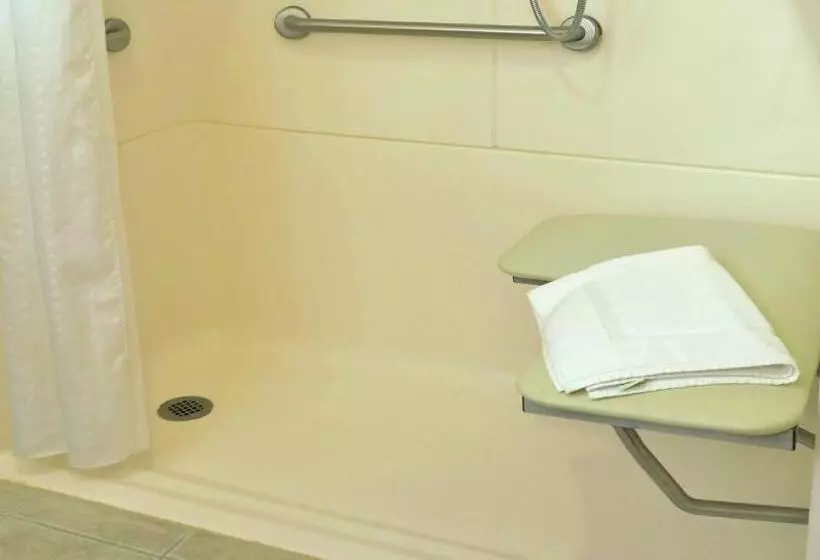 身障者適用スタンダードルーム, Holiday Inn Express Hotel & Suites Center Township, An Ihg