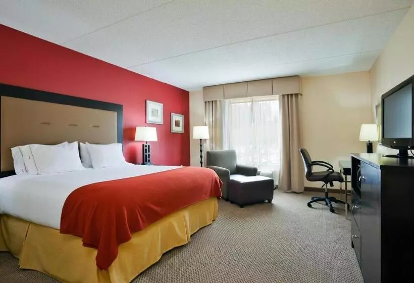 キングサイズベッドのエクゼクティブルーム, Holiday Inn Express Hotel & Suites Kodak East Sevierville, An Ihg