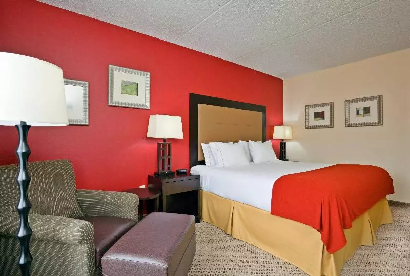 身障者適用キングサイズベッドルーム, Holiday Inn Express Hotel & Suites Kodak East Sevierville, An Ihg