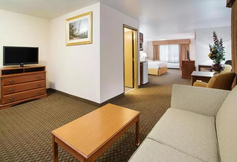 キングサイズベッドのスイートルーム, Holiday Inn Express Hotel & Suites Marion, An Ihg