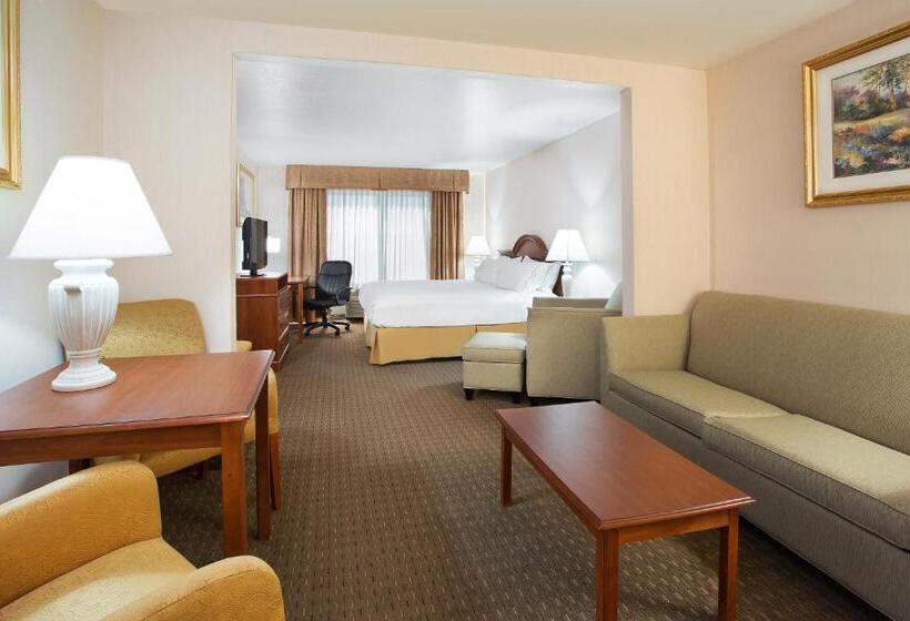 جناح سرير كينج, Holiday Inn Express Hotel & Suites Marion, An Ihg