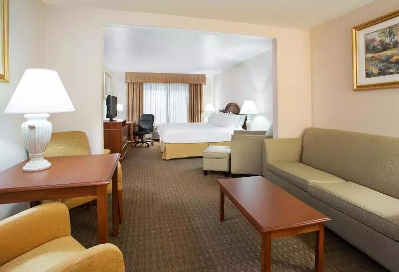 キングサイズベッドのスイートルーム, Holiday Inn Express Hotel & Suites Marion, An Ihg