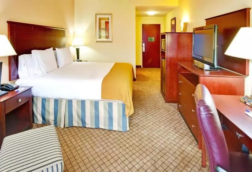 キングサイズベッドのスタンダードルーム, Holiday Inn Express Hotel & Suites Millington Memphis Area, An Ihg
