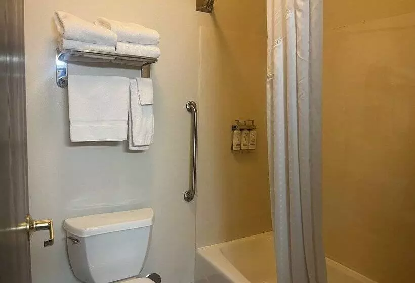 اتاق استاندارد با 2 تخت دوبل, Holiday Inn Express Hotel & Suites Sioux Falls At Empire Mall, An Ihg