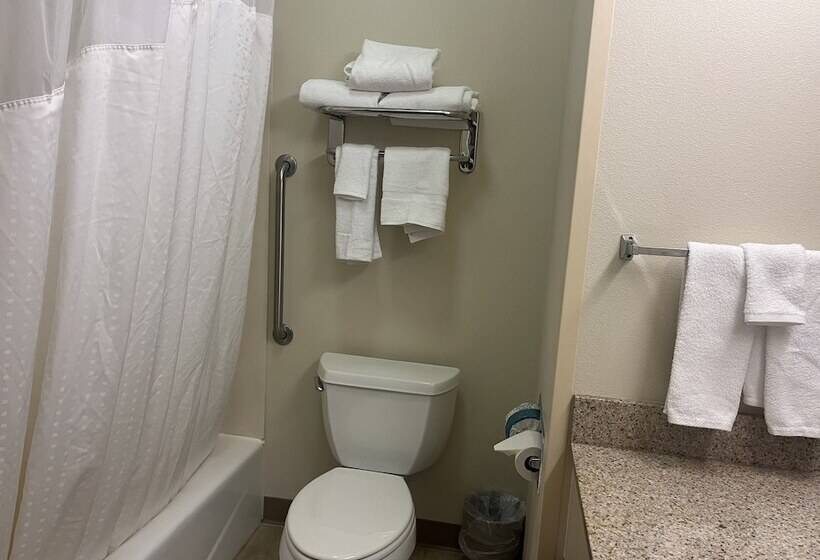 غرفة قياسية, Holiday Inn Express Hotel & Suites Sioux Falls At Empire Mall, An Ihg