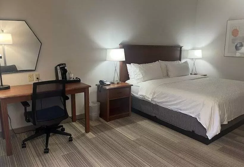 اتاق استاندارد, Holiday Inn Express Hotel & Suites Sioux Falls At Empire Mall, An Ihg